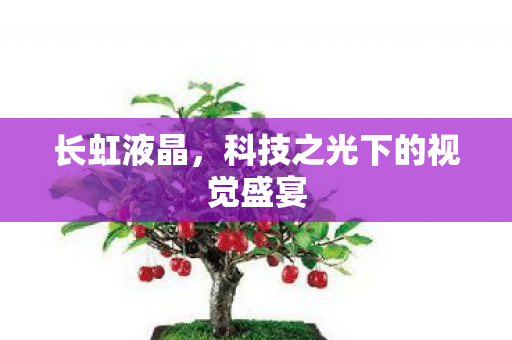 长虹液晶,科技之光下的视觉盛宴 长虹液晶,科技之光下的视觉盛宴