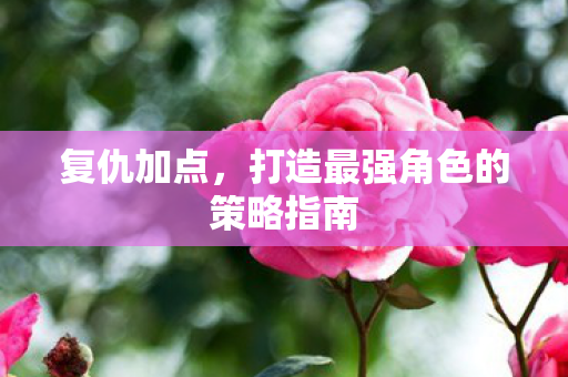 复仇加点，打造最强角色的策略指南