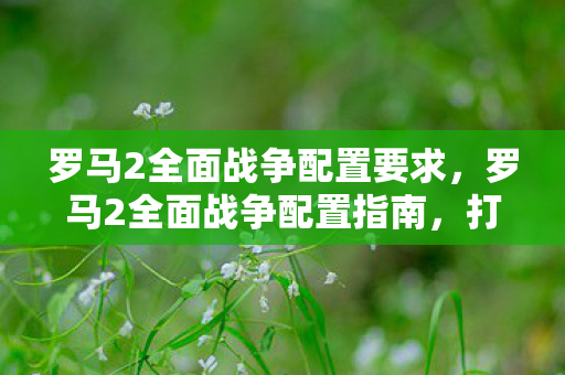 罗马2全面战争配置要求，罗马2全面战争配置指南，打造流畅游戏体验