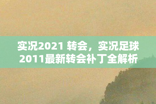 实况2021 转会，实况足球2011最新转会补丁全解析