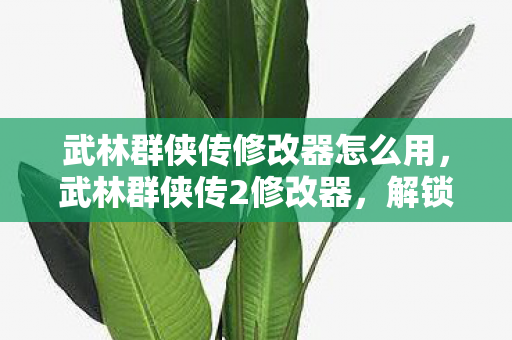 武林群侠传修改器怎么用，武林群侠传2修改器，解锁无限可能的武侠之旅