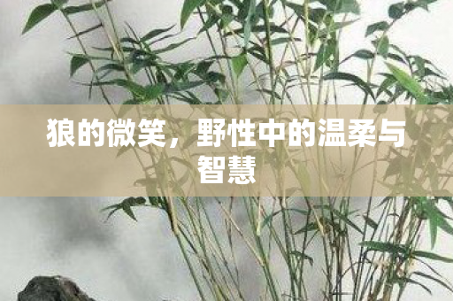 狼的微笑，野性中的温柔与智慧