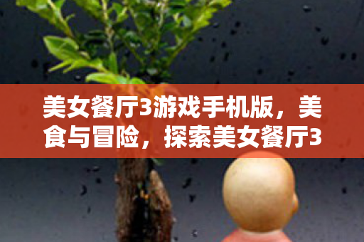 美女餐厅3游戏手机版，美食与冒险，探索美女餐厅3的无限可能