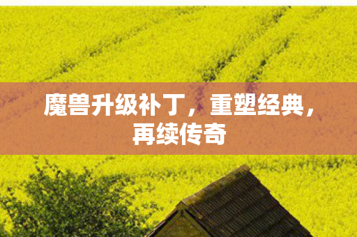 魔兽升级补丁,重塑经典,再续传奇 魔兽升级补丁,重塑经典,再续传奇