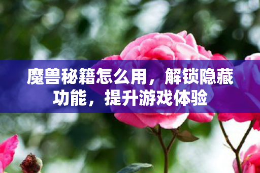 魔兽秘籍怎么用，解锁隐藏功能，提升游戏体验
