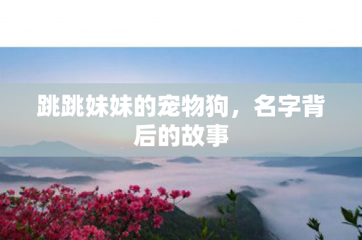 跳跳妹妹的宠物狗，名字背后的故事