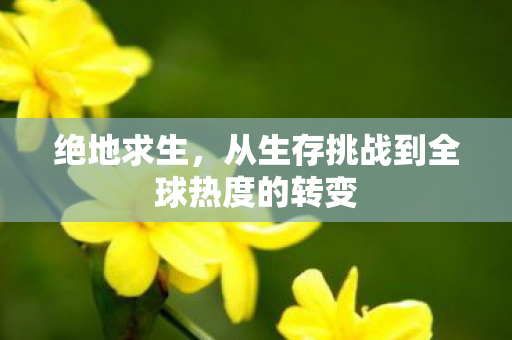 绝地求生，从生存挑战到全球热度的转变