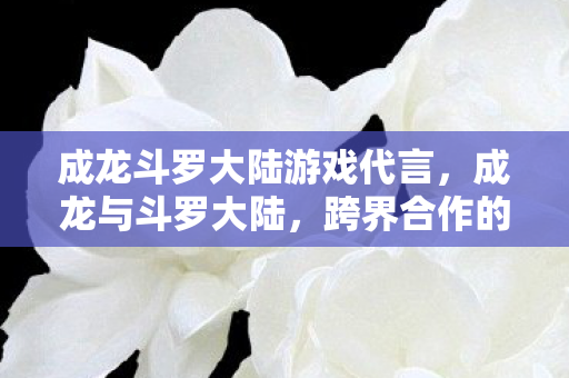 成龙斗罗大陆游戏代言，成龙与斗罗大陆，跨界合作的惊喜