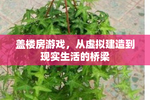 盖楼房游戏，从虚拟建造到现实生活的桥梁