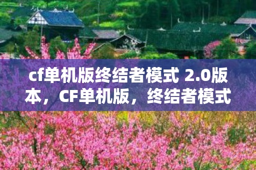 cf单机版终结者模式 2.0版本,CF单机版,终结者模式的无限可能 cf单机版终结者模式 2.0版本,CF单机版,终结者模式的无限可能