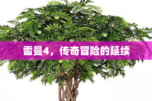 雷曼4，传奇冒险的延续