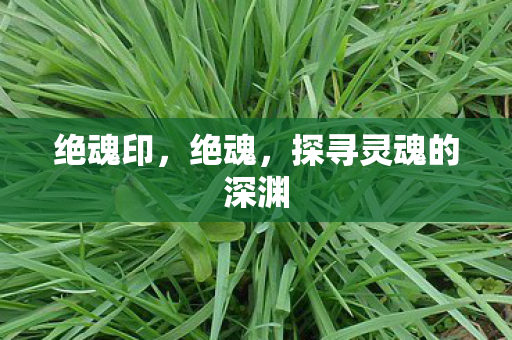绝魂印，绝魂，探寻灵魂的深渊