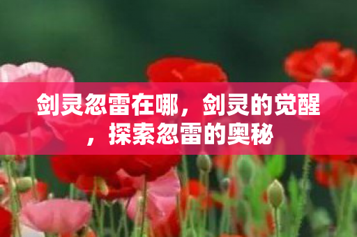 剑灵忽雷在哪，剑灵的觉醒，探索忽雷的奥秘