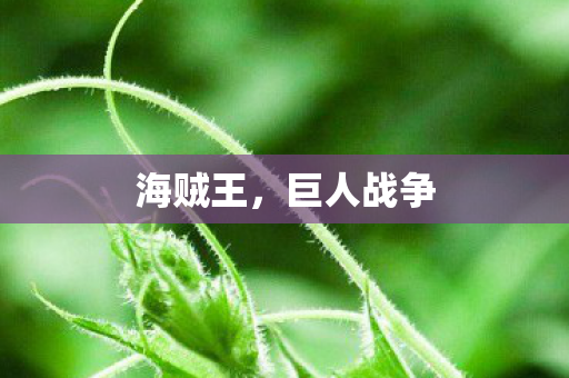 海贼王，巨人战争