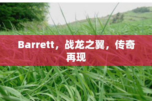 Barrett，战龙之翼，传奇再现