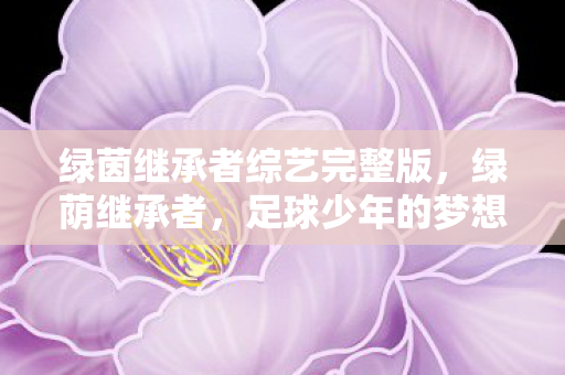 绿茵继承者综艺完整版，绿荫继承者，足球少年的梦想与传承