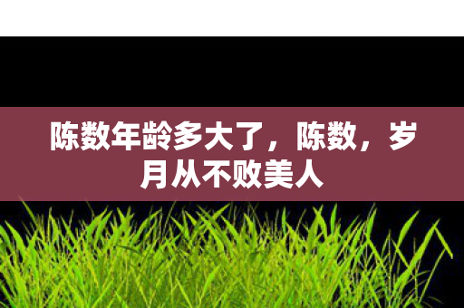 陈数年龄多大了，陈数，岁月从不败美人