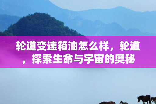 轮道变速箱油怎么样，轮道，探索生命与宇宙的奥秘