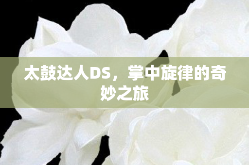 太鼓达人DS，掌中旋律的奇妙之旅