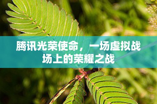 腾讯光荣使命，一场虚拟战场上的荣耀之战