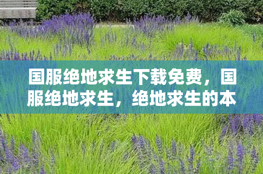 国服绝地求生下载免费，国服绝地求生，绝地求生的本土化之路