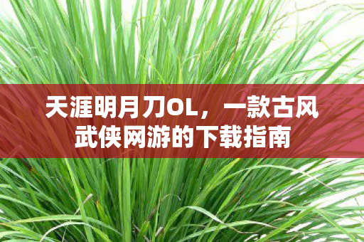 天涯明月刀OL，一款古风武侠网游的下载指南