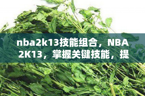 nba2k13技能组合,NBA 2K13,掌握关键技能,提升你的游戏水平 nba2k13技能组合,NBA 2K13,掌握关键技能,提升你的游戏水平