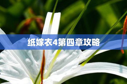 纸嫁衣4第四章攻略