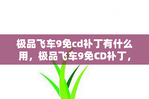 极品飞车9免cd补丁有什么用，极品飞车9免CD补丁，历史、原理与合法性问题探讨