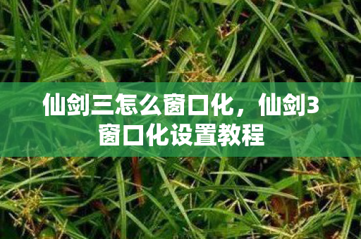 仙剑三怎么窗口化，仙剑3窗口化设置教程
