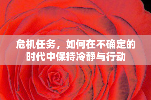 危机任务，如何在不确定的时代中保持冷静与行动