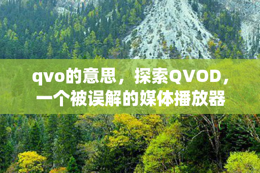 qvo的意思，探索QVOD，一个被误解的媒体播放器