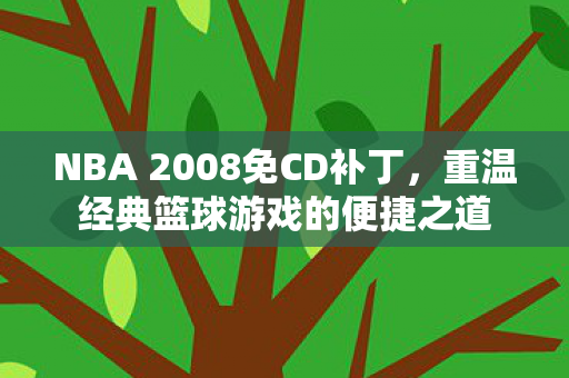 NBA 2008免CD补丁图片