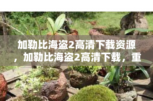 加勒比海盗2高清下载资源，加勒比海盗2高清下载，重温经典，尽享高清视觉盛宴