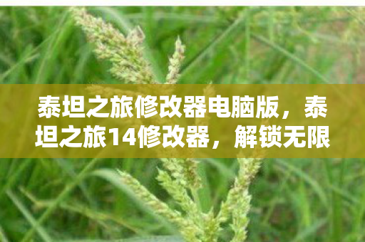 泰坦之旅修改器电脑版，泰坦之旅14修改器，解锁无限可能的冒险之旅