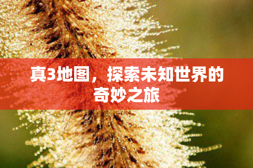 真3地图，探索未知世界的奇妙之旅