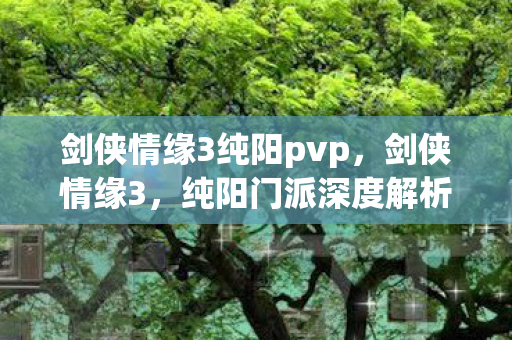 剑侠情缘3纯阳pvp，剑侠情缘3，纯阳门派深度解析
