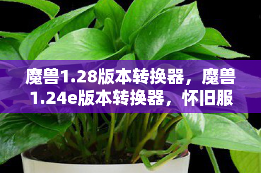魔兽1.28版本转换器，魔兽1.24e版本转换器，怀旧服玩家的福音
