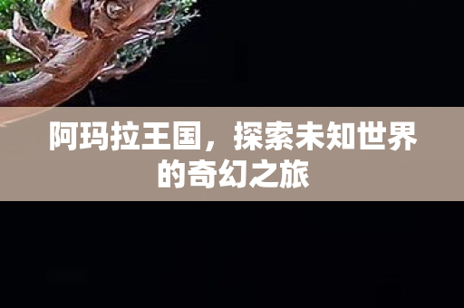 阿玛拉王国,探索未知世界的奇幻之旅 阿玛拉王国,探索未知世界的奇幻之旅
