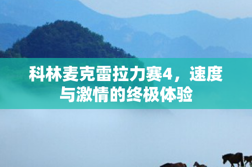 科林麦克雷拉力赛4，速度与激情的终极体验