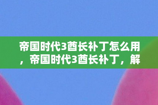 帝国时代3酋长补丁怎么用图片