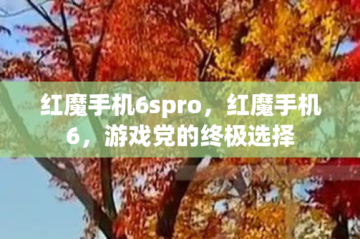 红魔手机6spro，红魔手机6，游戏党的终极选择