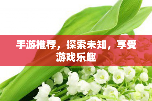 手游推荐，探索未知，享受游戏乐趣