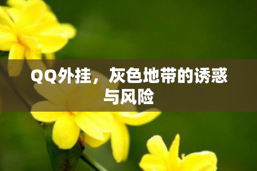 QQ外挂，灰色地带的诱惑与风险