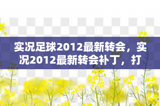 实况足球2012最新转会，实况2012最新转会补丁，打造你的梦幻阵容