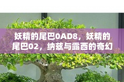妖精的尾巴0AD8，妖精的尾巴02，纳兹与露西的奇幻冒险