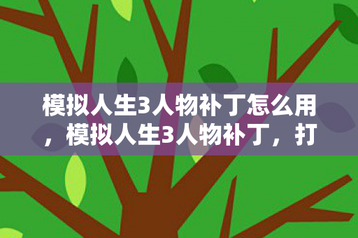 模拟人生3人物补丁怎么用，模拟人生3人物补丁，打造个性化虚拟生活的秘密武器