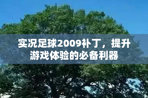 实况足球2009补丁，提升游戏体验的必备利器