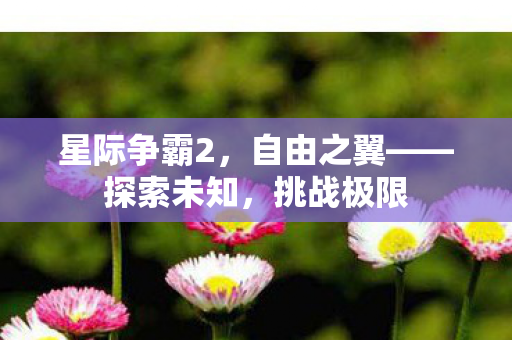 星际争霸2，自由之翼——探索未知，挑战极限
