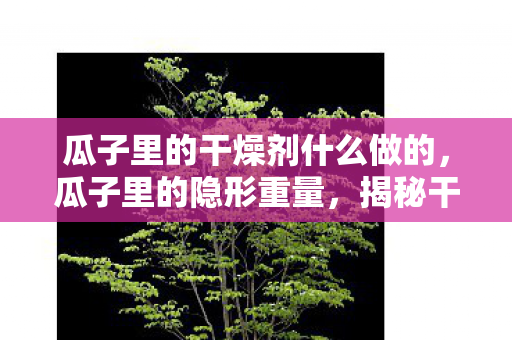瓜子里的干燥剂什么做的，瓜子里的隐形重量，揭秘干燥剂的真实含量